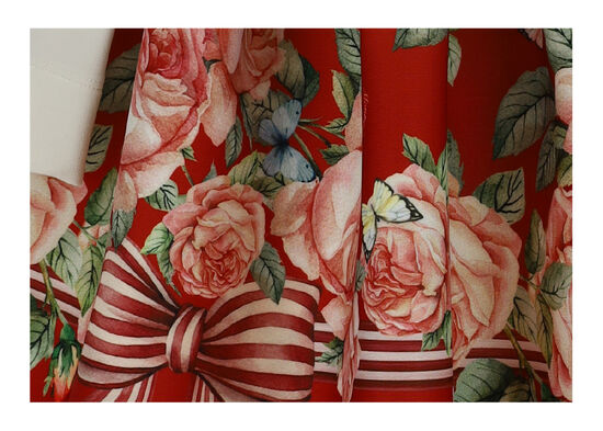 Special Occasion Fall/Winter 2021