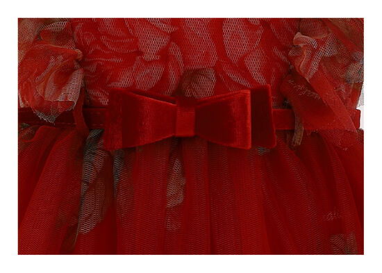 Special Occasion Fall/Winter 2021