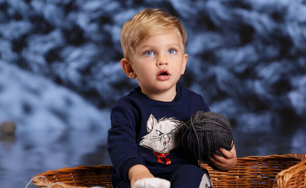 Sudadera de algodón de Los Aristogatos