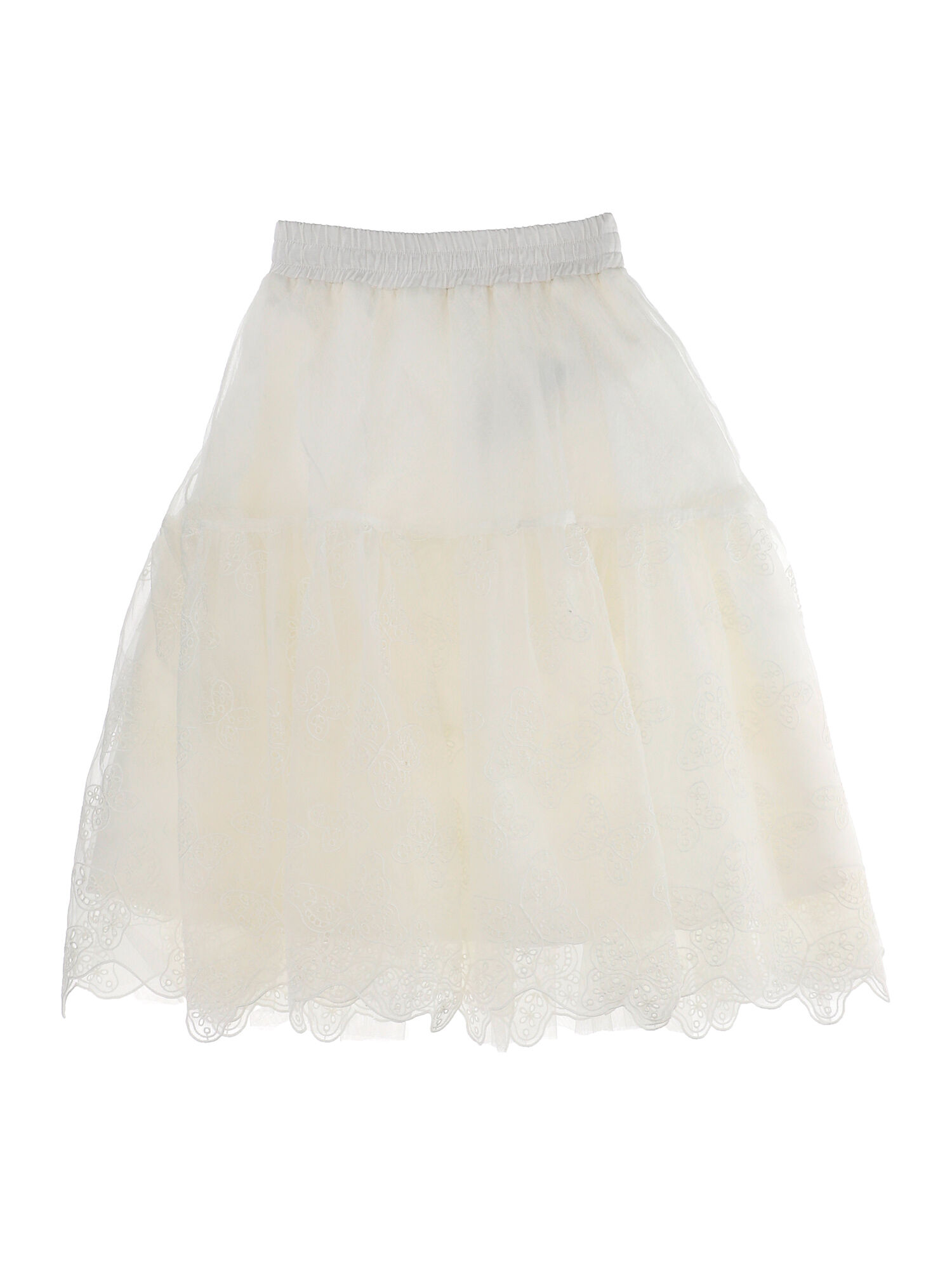 Embroidered organza skirt hot sale