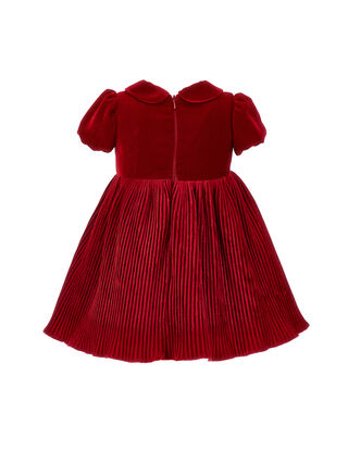 Princess velvet dress