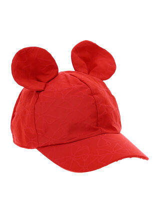 Hat with ears