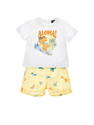 Conjunto de dinosaurios marinos