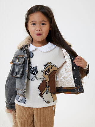 Lady and the Tramp merino wool sweater