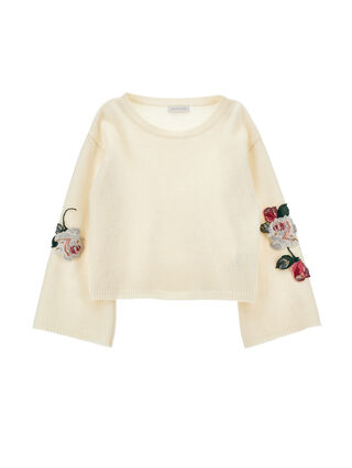 Sweater with embroidered sleeves