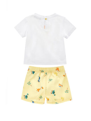 Conjunto de dinosaurios marinos