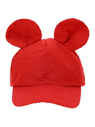Hat with ears