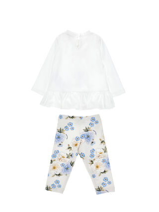 Ensemble de maison d'ours en peluche