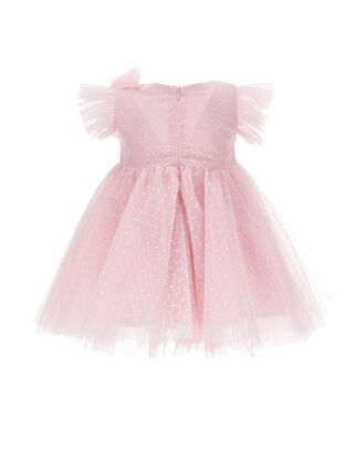 Plumetis tulle dress