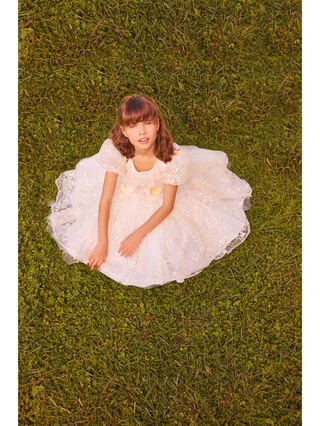 Ludovica embroidered tulle dress